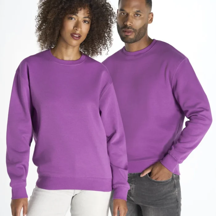 Sudadera Clasica Unisex SWRA290